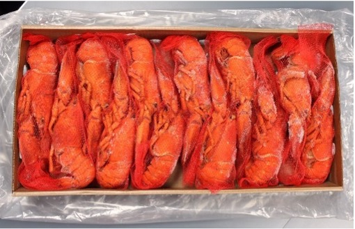 Frozen Whole Cooked Canadian Lobster